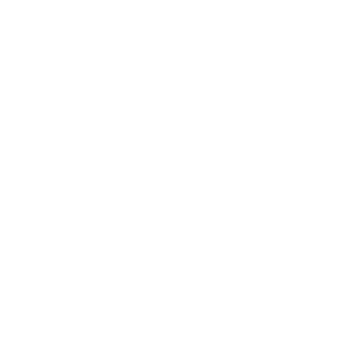 phone call white icon.png